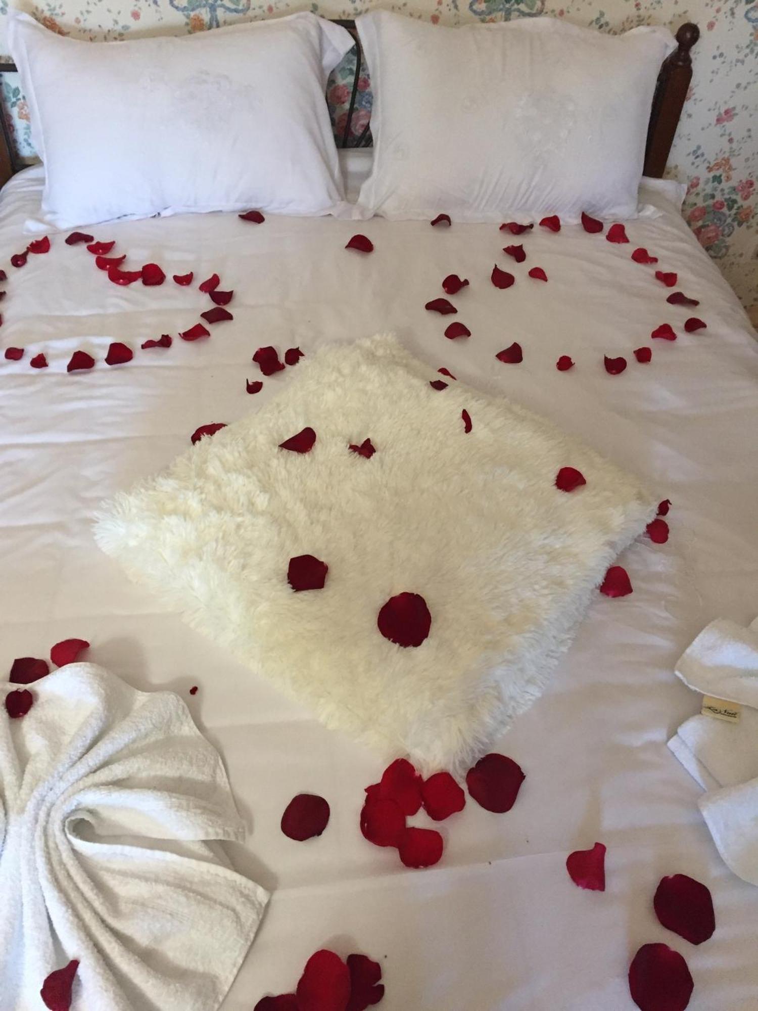 Minihotel Zolotoe Runo Ploskoye 객실 사진