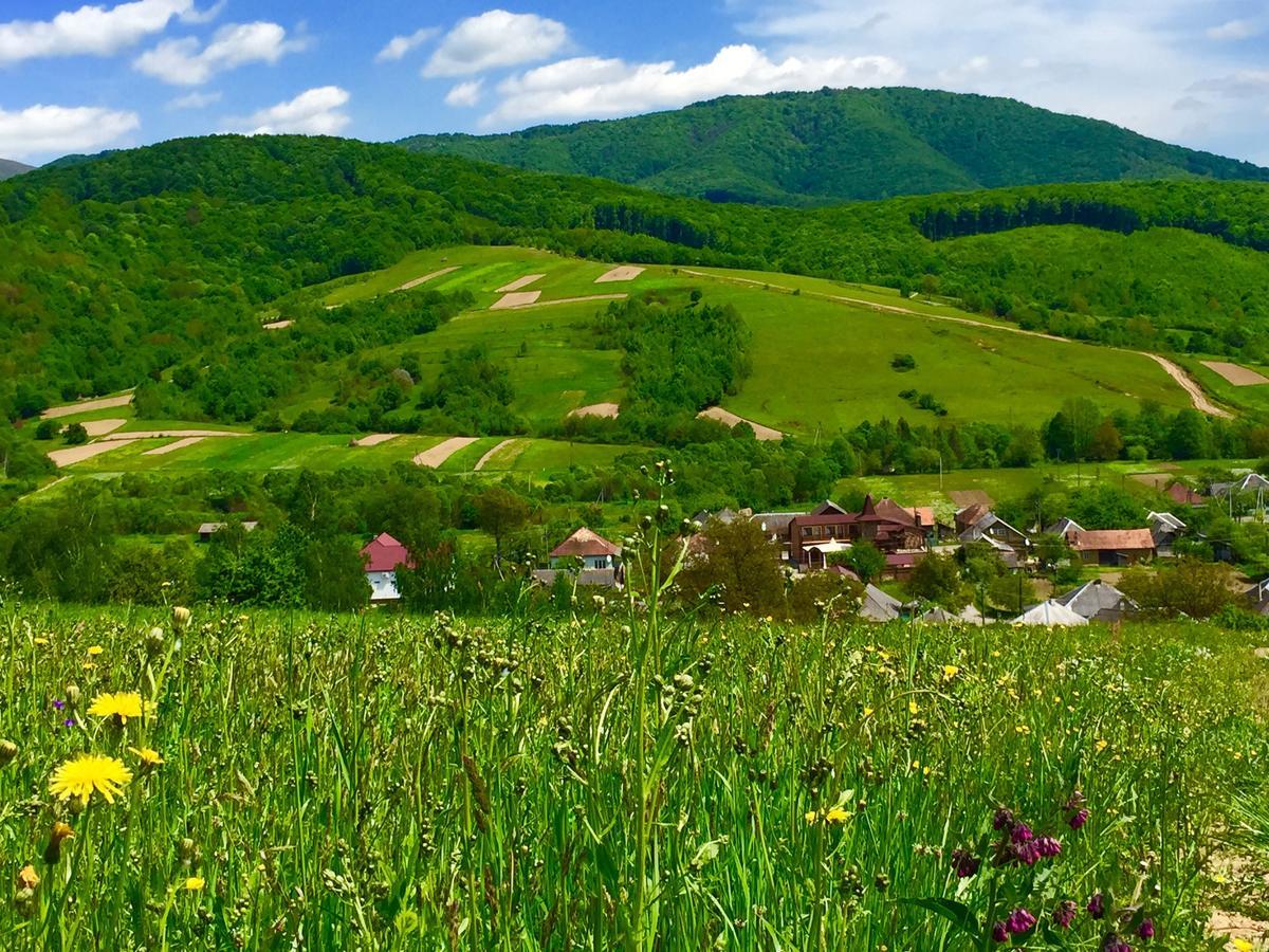 Minihotel Zolotoe Runo Ploskoye 외부 사진